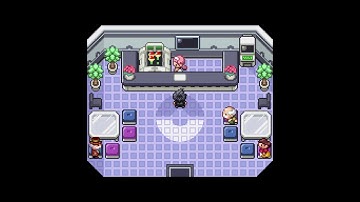 Pokemon Reborn Alolan Guide - Type: Null