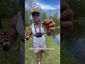 Easiest way to catch GIANT Bluegill!!!