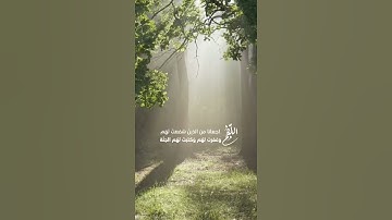 تلاوة خاشعة مؤثرة القارئ أحمد النفيس حالات واتساب جميله