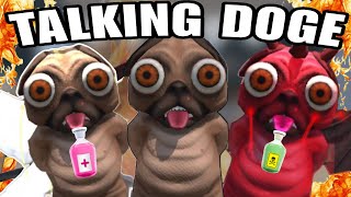Talking Doge | Scary Doge | Talking Doge update