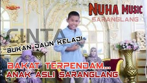 CINTA BUKAN DAUN KELADI | Nuha Music | Saranglang | Wd