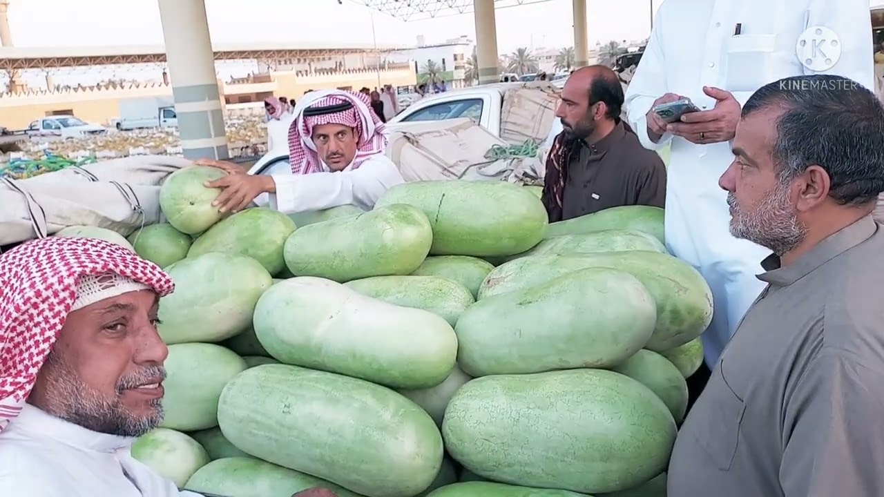 بريده/الحراج الكبير على البطيخ في مدينة التمور ٥/١١/١٤٤٣ ماشاء الله تبارك الله