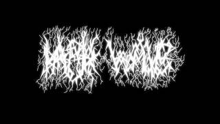 THE DARK WAVE