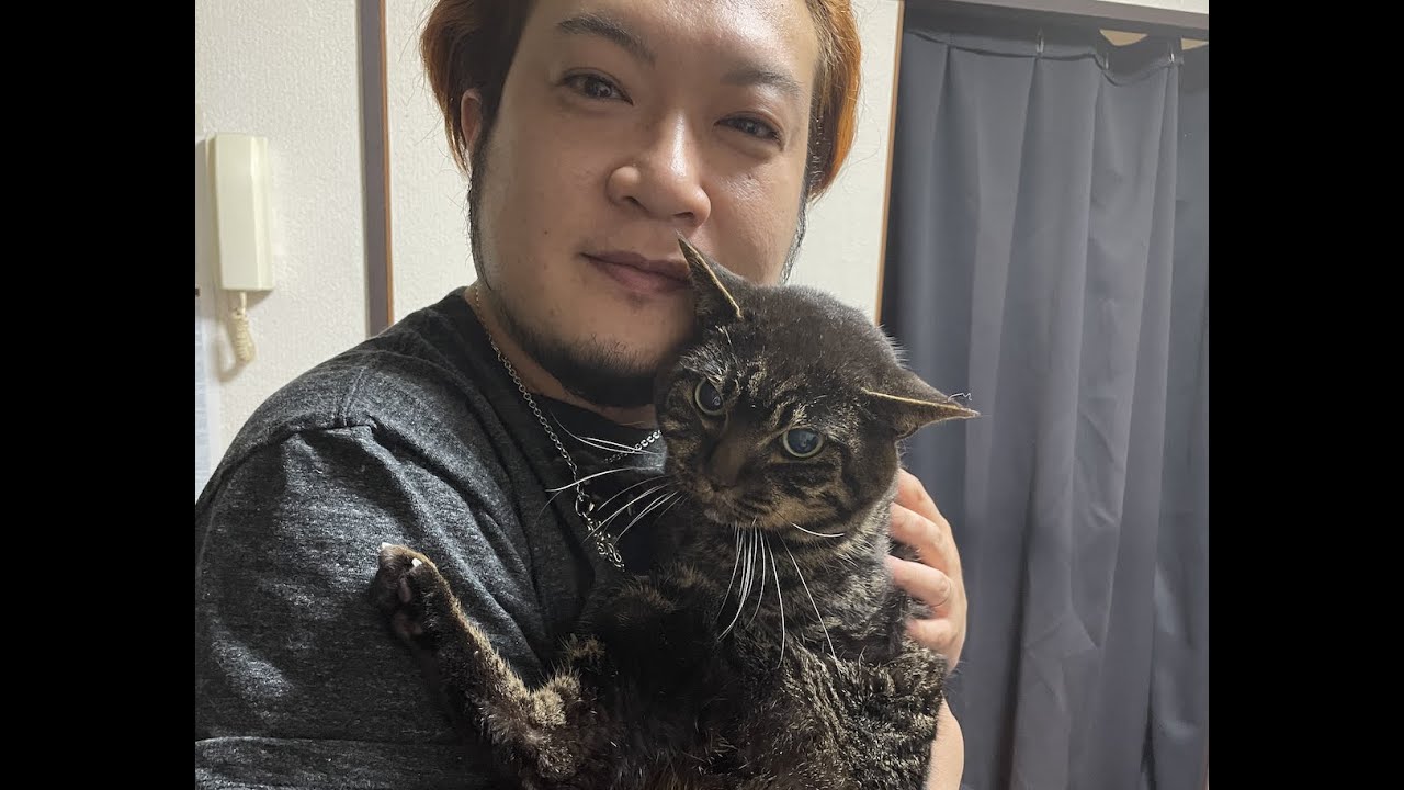 ニャン太の最後の動画です Youtube
