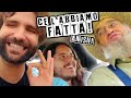 I barbasafari nella terra degli amish