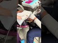 Ep3: FINAL YEAR BDS🦷| Endo Posting⭐️| #dentalstudents #dentistry #bds #dayinmylife #medlife