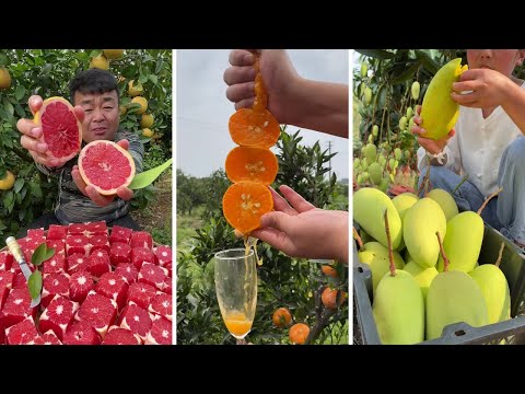 Farm Fresh Ninja Fruit Cutting | Oddly Satisfying Fruit Ninja