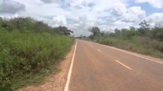 Srt4 vs gst