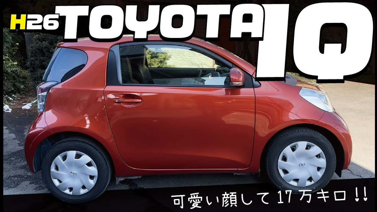 Late 2014 IQ 2-passenger fun car with an overall length of 298cm