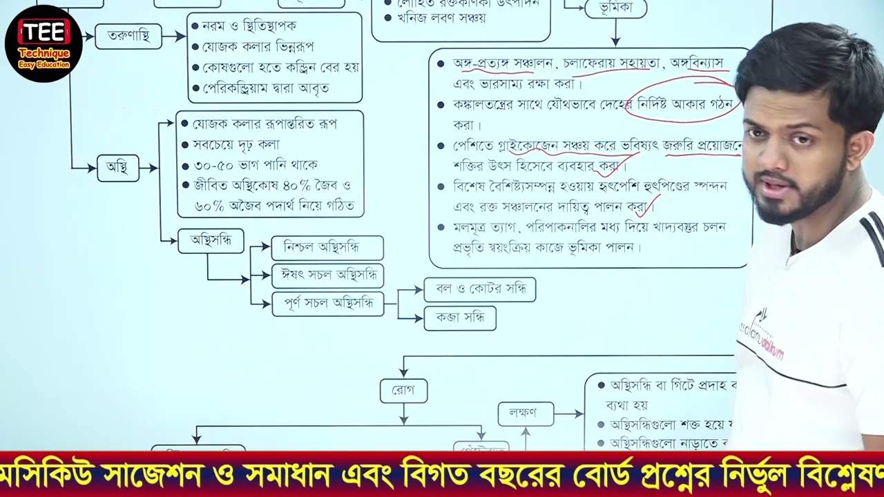 এসএসসি জীববিজ্ঞান | অধ্যায় ০৯ | চলন ও অঙ্গ চালনা | বেসিক কনসেপ্টস প্রবাহচিত্র