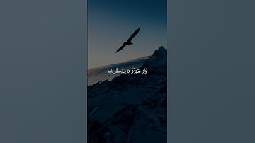 قرآن كريم راحة نفسية 🤍🎧 متابعة للصفحة فضلاً 🥰🤍 #قرآن #قران_كريم