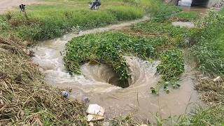 Removing Floating Plants Massive Clogged from the Drainage Canal
