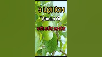 3 Lợi Ích Bất Ngờ Của Lá Ổi Có Thể Bạn Chưa Biết #dinhduong #health #suckhoe