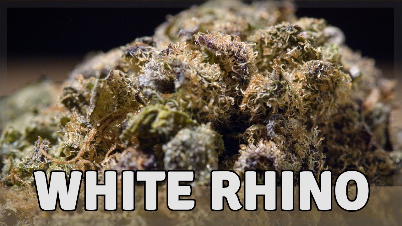 WHITE RHINO - Indica - THC 17%