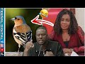 Wouy 😂Ndiaye Touba ak Maimouna ndour faye : aide de la presse bi dousi am ndakh danio yorel