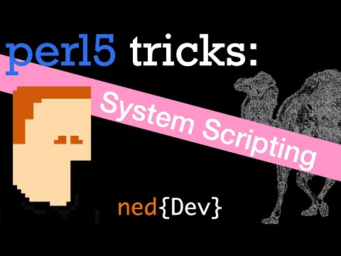 How to do super useful scripting in perl // SYSTEM SCRIPTING FOR BEGINNERS
