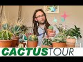 Cactus tour ma collection partie 1