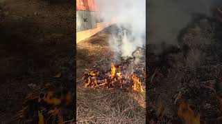 Broadcast burn to prep for fire season #fireservice