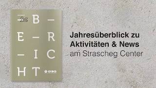 SCE Jahresbericht 2016
