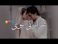 Shararti biwi  story no233  love story  urdu  hindi  for married couples