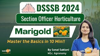 DSSSB SO Horticulture 2024 || Marigold || DSSSB 10 Min Series || By Sonal Mam