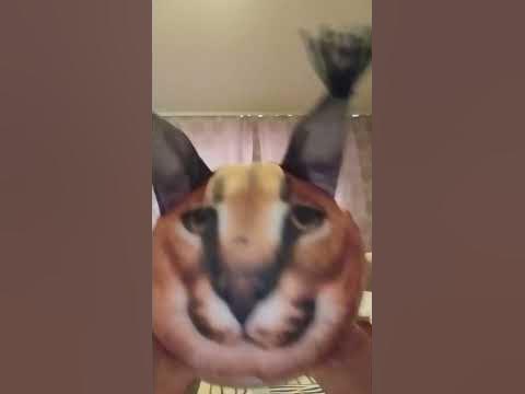 блоп топ - YouTube