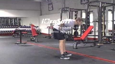 Juggernaut Training Systems-General and Speed Power Warmup