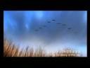 【MV】鸿雁-《东归英雄传》主题曲 - 天天要闻