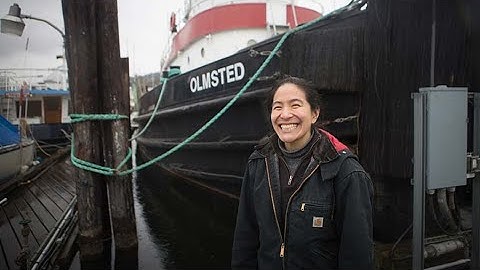 Online Statistics Master