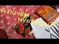 Барахолка на Геров труда, Харьков.  А почём мухоморы???😱