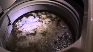 Cleaning 13-yr old washing machine with sodium percarbonate (Oxi Clean)