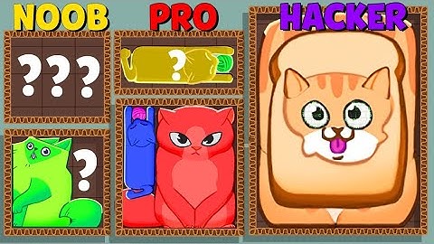 NOOB vs PRO vs HACKER - Puzzle Cats