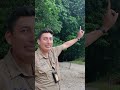 Did Aliens build the pyramids? Full tour of Mayan archeology site linked in longer video