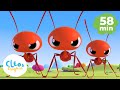Ants Go Marching and more Nursery Rhymes of Cleo and Cuquin | Songs for Kids