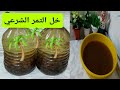 خل التمر على الطريقة الشرعية 🌴🌴🌴