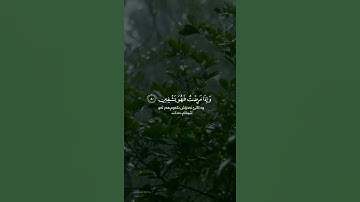 الَّذِي خَلَقَنِي فَهُوَ يَهْدِينِ - القارئ عبد الباسط عبد الصمد