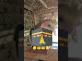 #fourier video #sukkur 🤲🕋🕋