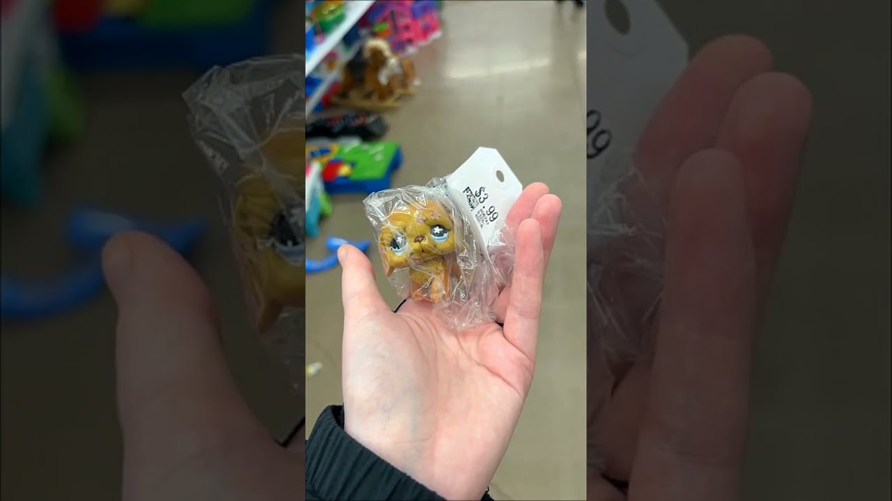 Thrifting For Littlest Pet Shops Lps Littlestpetshop Thriftwithme Thriftstorefinds