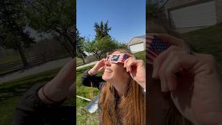 Did the Solar Eclipse affect our Chickens?