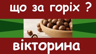 горіхи ! горішки ! вікторина | тест | Перевір чи добре знаєш ти назву поживних горіхів ?