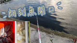 【布袋海釣場】嘉鱲班頭黑格通通咬冷冷的天就是要朗餌朗到魚開口