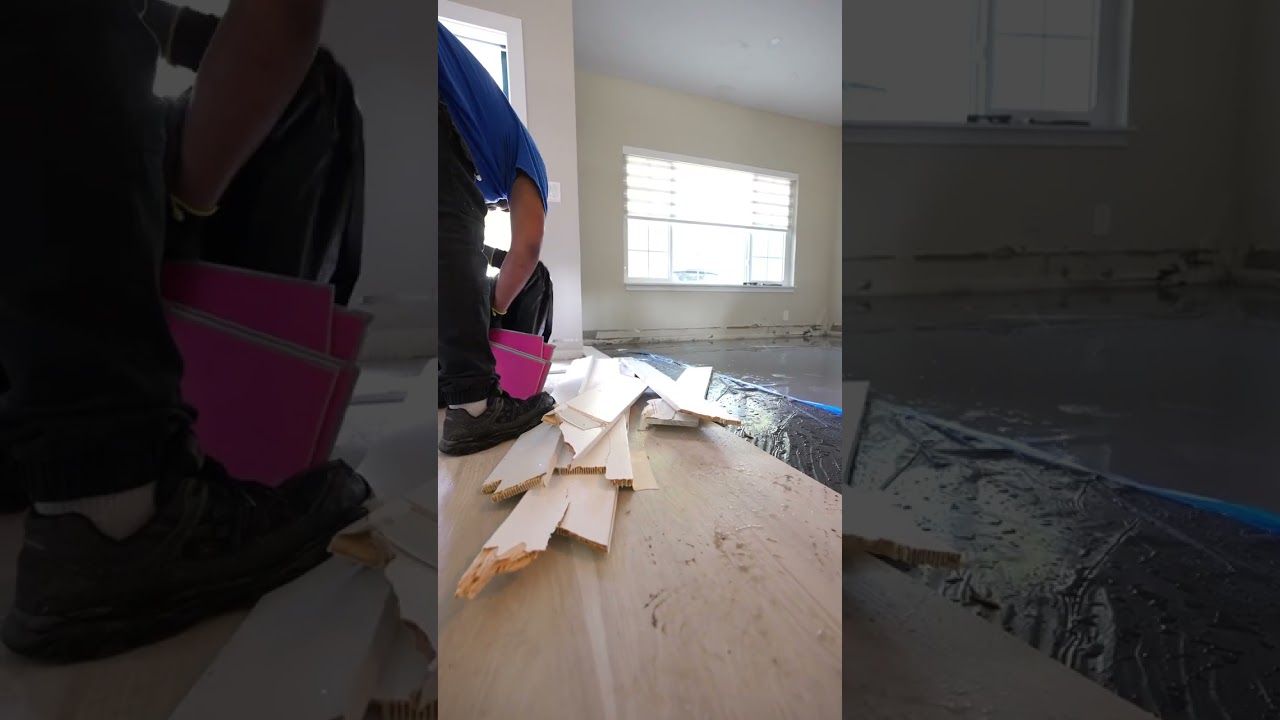 Water Damage From a Plumbing Leak | Water Mitigation in Action