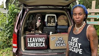 Driving to Belize from Florida with a DOG and 2 CATS
