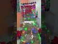 a si quedó mi nacimiento sencillo pero bonito #megusta #nacimiento #navidad #familia