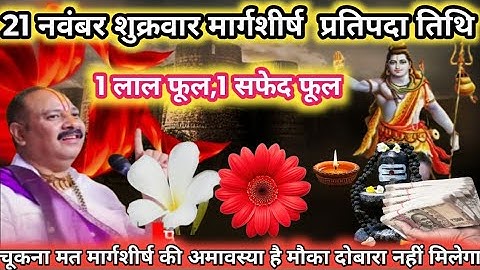 21 नवंबर शुक्रवार प्रतिपदा के दिन 1 लाल फूल 1 सफ़ेद फूल वाला उपाय जरुर करे | Pradeep Ji Mishra 🕉️🙏