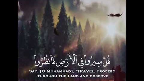 آيات من الذكر الحكيم #آيات_من_الذكر_الحكيم #آيات #القرآن #قران #تلاوة