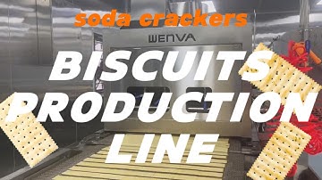 Automatic Biscuit Production Line | Cookie Manufacturing Process Step by Step