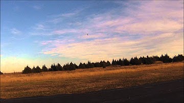 Mike Martin Flying TREX 700N DFC, iKON flybarless, YS91SRX