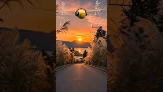 Tutsak Ettin Beni Hasret Ağında,Dönsende Kalbimde Yerinmi Kaldı.😔🥀 Gökhan Güney 🎻🎻🎶🎵🎶🎻🎻