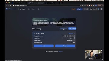 How to Add to the AGA/AGAr Liquidity Pool on QuickSwap